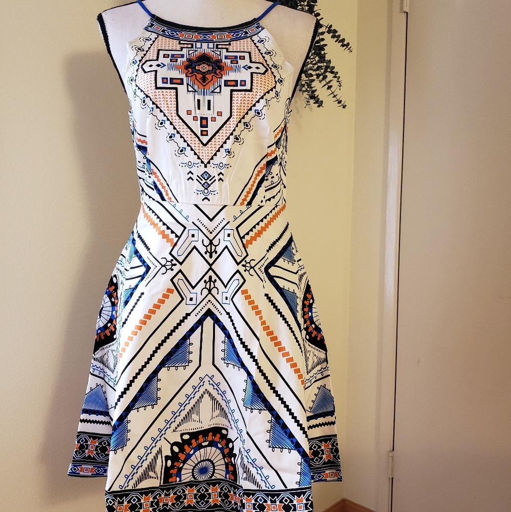 NWT Fit and Flare Mini Dress